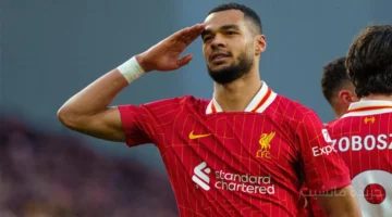 إعلان التحدي.. أول تصريح من بطل إنجلترا بشأن الدفاع عن لقب الدوري الإنجليزي 1